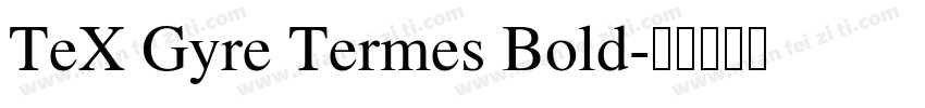TeX Gyre Termes Bold字体转换